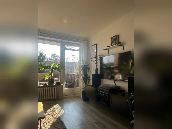 Vorschaubild 2