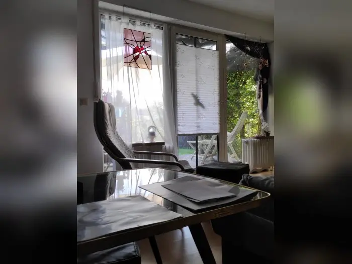 Vorschaubild 1