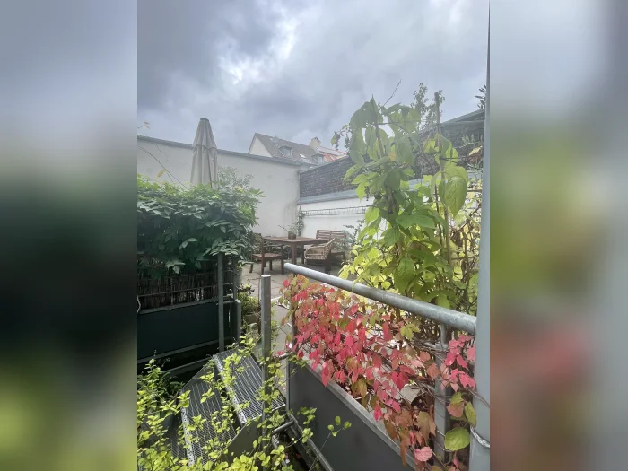 Vorschaubild 1