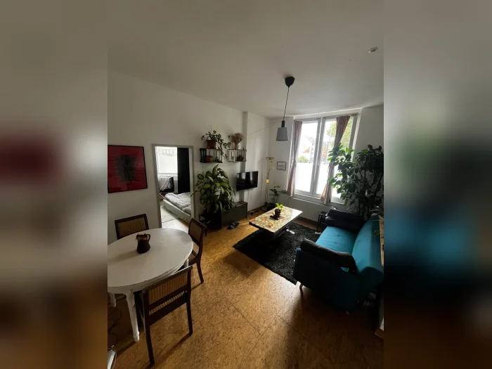 Vorschaubild 1