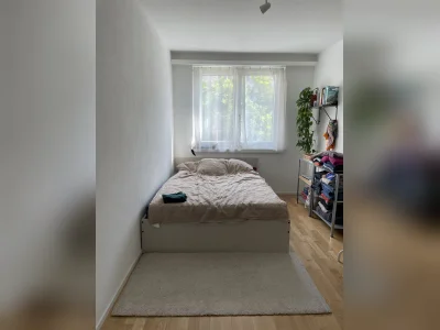 Vorschaubild 3