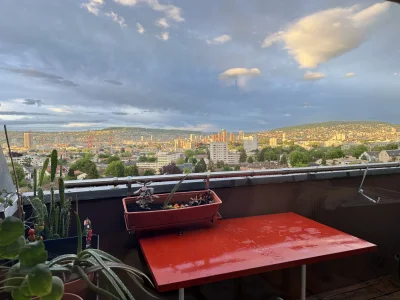 Am grünen Stadtrand von Zürich. Stadtnah und doch ruhig.