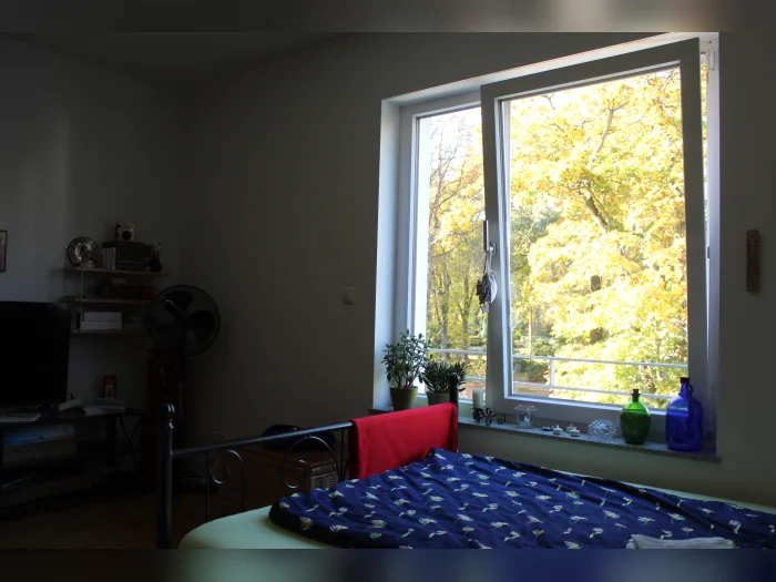 Vorschaubild 3
