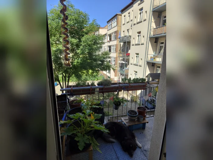 Vorschaubild 1