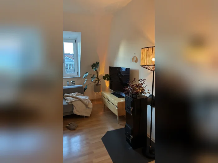Vorschaubild 3