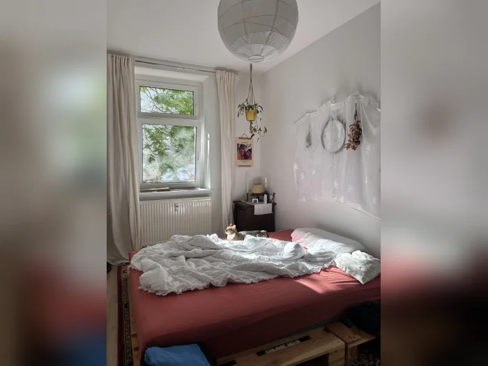 Vorschaubild 2