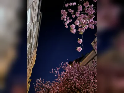 Dachterrassenglück in Bonn