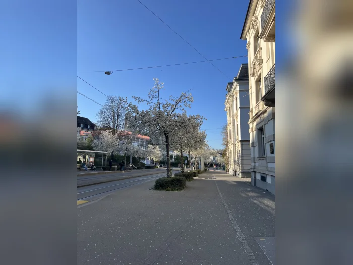 Vorschaubild 3