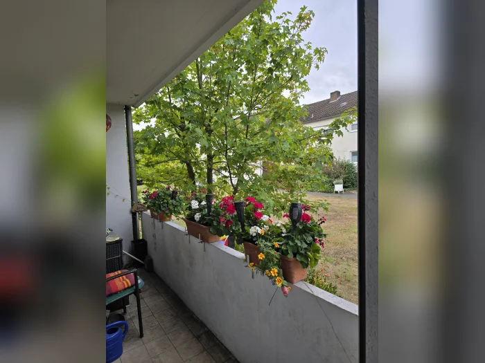Vorschaubild 3
