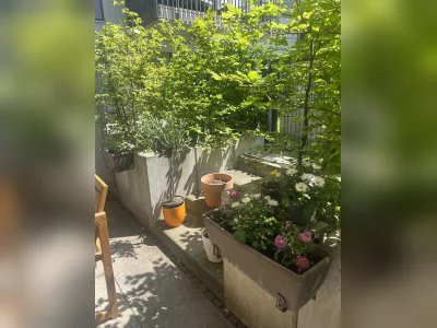 Vorschaubild 2