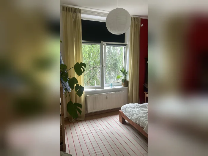 Vorschaubild 1