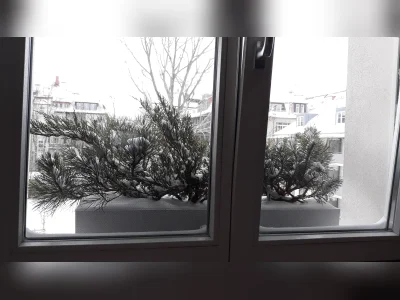 Leipzig, Mitte: 2-Zimmer-Wohnung, 50 m², 350