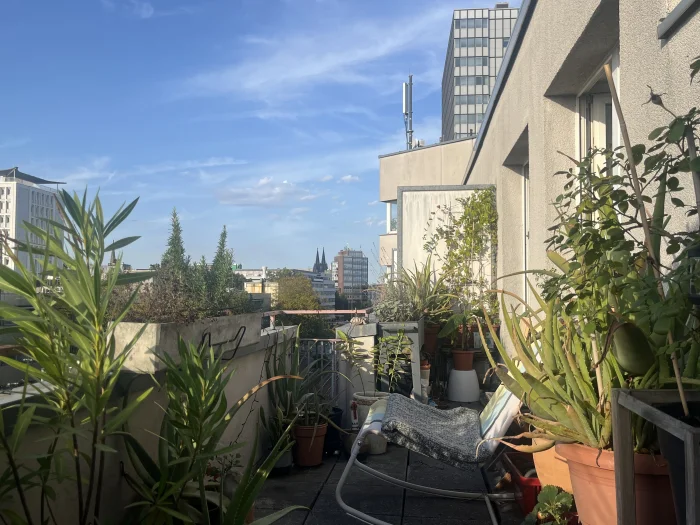 Vorschaubild 1