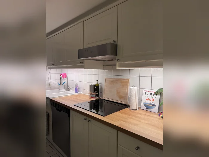 Vorschaubild 1
