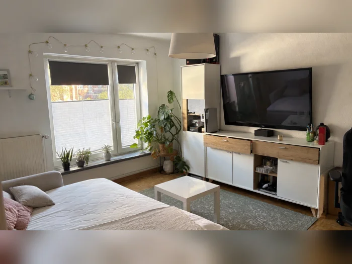 Vorschaubild 1
