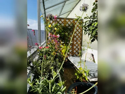 Ehrenfeld: Charmante 2-Zimmer-Wohnung