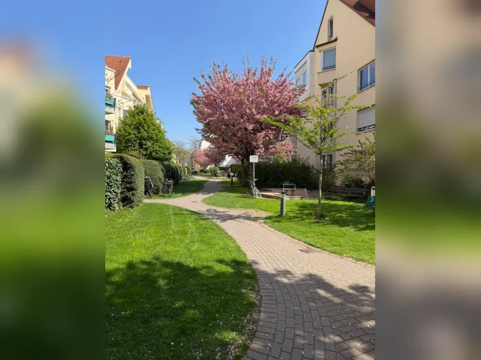 Vorschaubild 1
