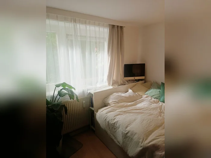 Vorschaubild 1