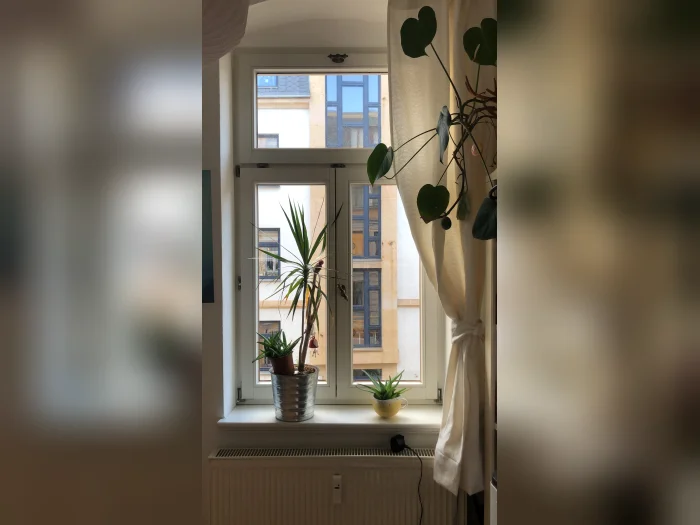 Vorschaubild 3