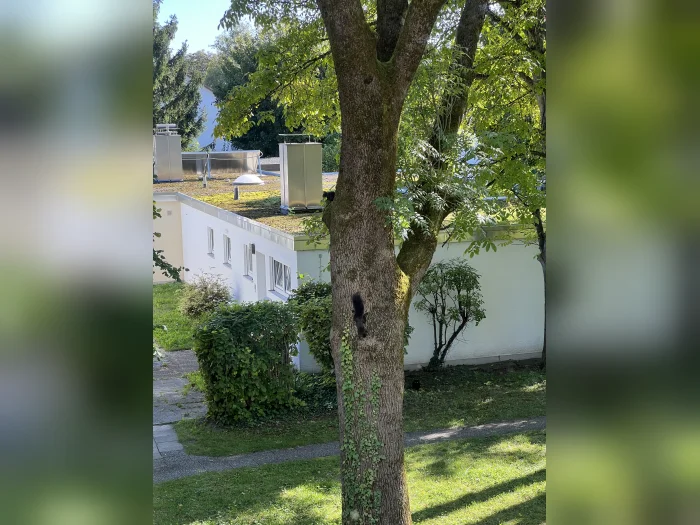 Vorschaubild 3