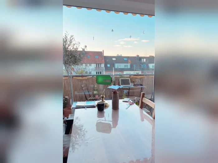Vorschaubild 3