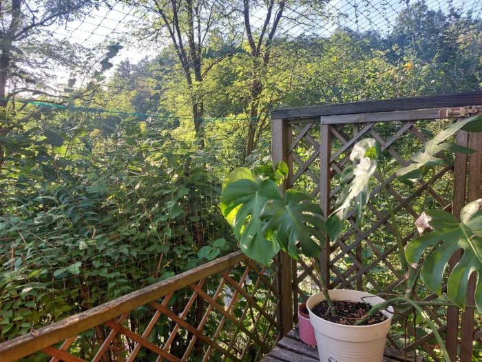 Vorschaubild 3