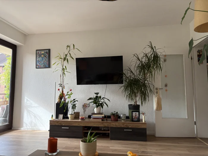 Vorschaubild 3