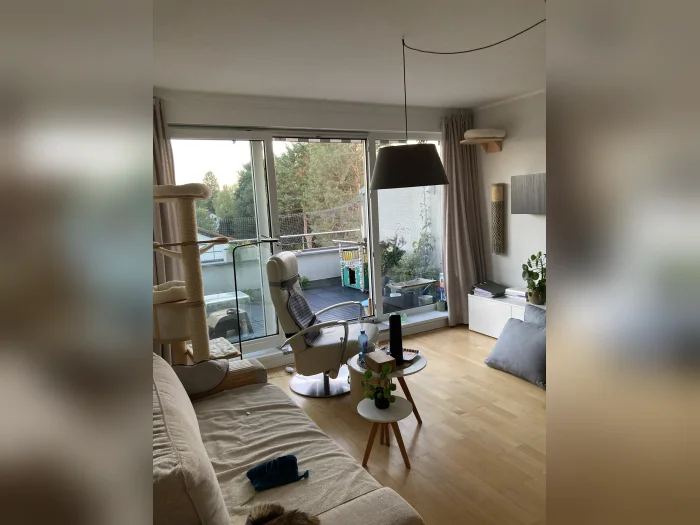 Vorschaubild 1