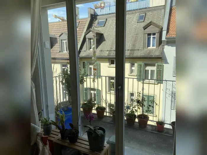 Vorschaubild 2