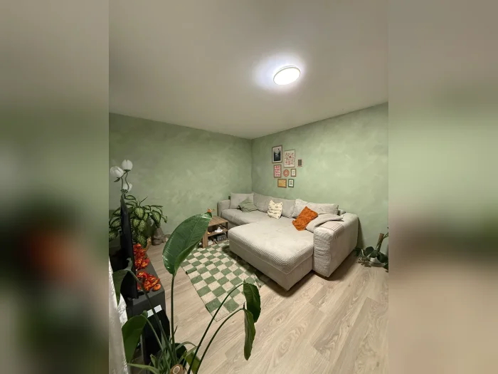 Vorschaubild 1