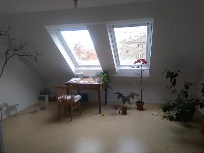 Vorschaubild 1