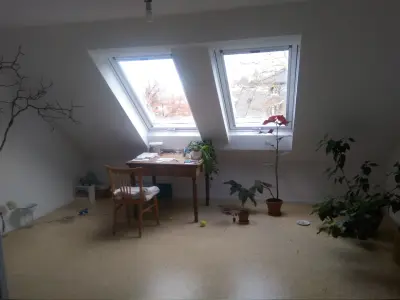 Schöne DG Wohnung in FR-Wiehre, Korkboden, Blick auf 2 Berge