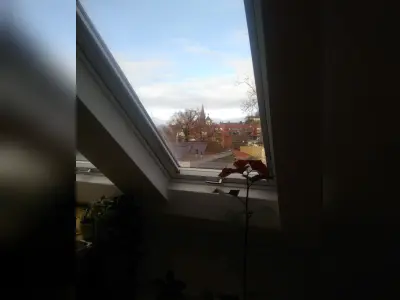 Vorschaubild 3