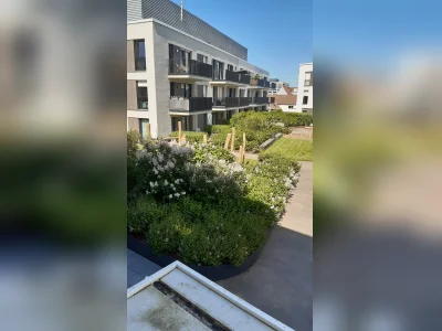 Vorschaubild 3