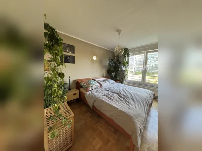 Vorschaubild 2