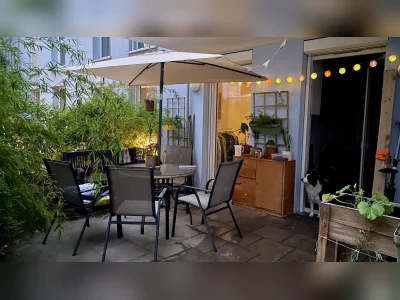Vorschaubild 1