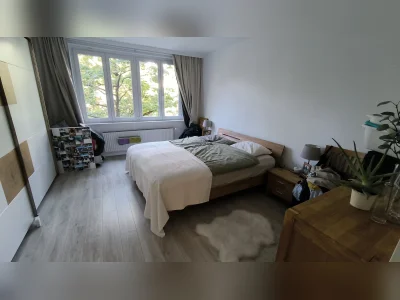 Vorschaubild 2