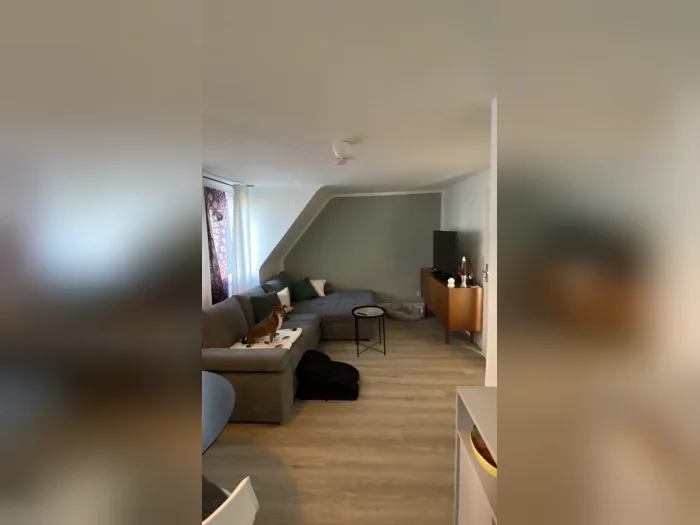 Vorschaubild 1