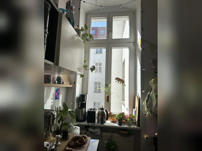 Vorschaubild 1
