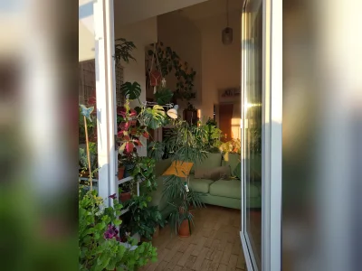 Münster-Mitte: Gemütliche Wohnung im Zentrum