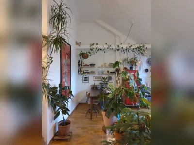 Vorschaubild 3