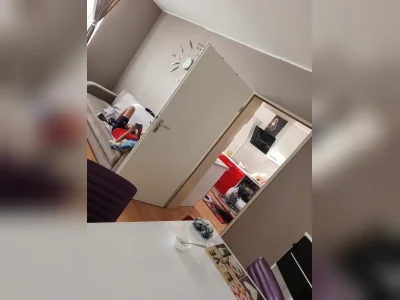 Vorschaubild 2