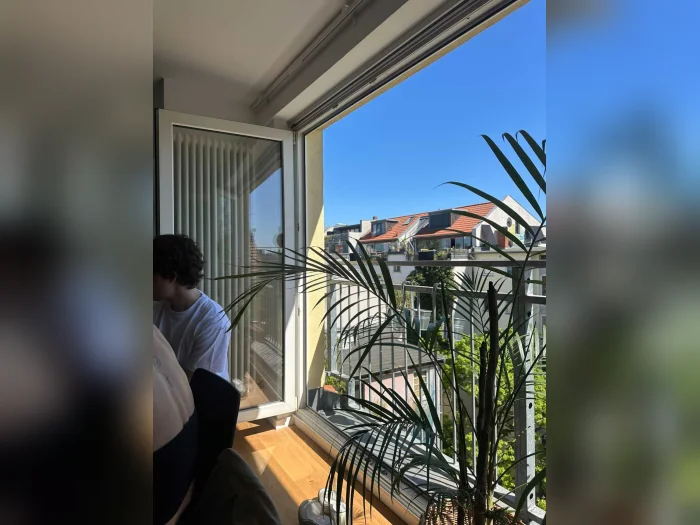 Vorschaubild 2