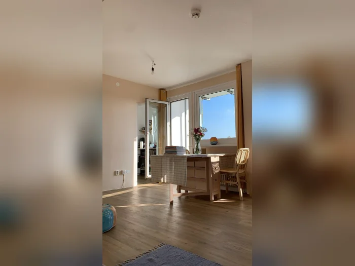 Vorschaubild 1