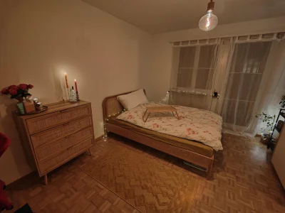 Gemütliche Kleinwohnung im Herzen von Zürich (Niederdorf)