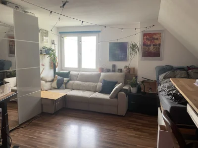Ideal für Singles in Freiburg
