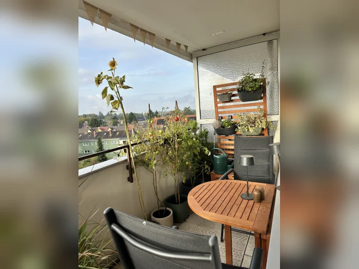 Vorschaubild 3