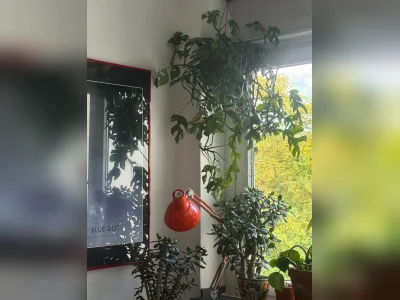 Vorschaubild 2