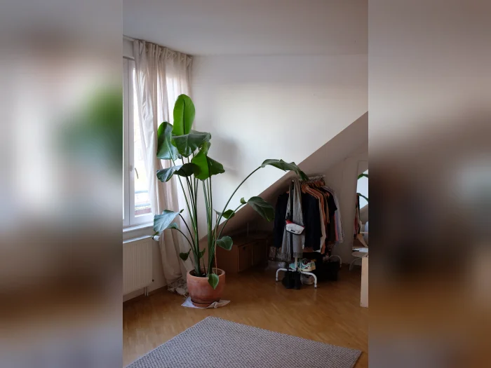 Vorschaubild 2