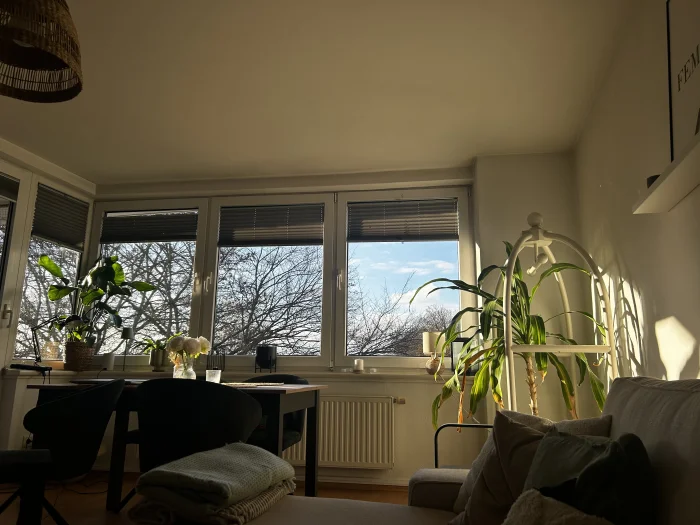 Vorschaubild 1